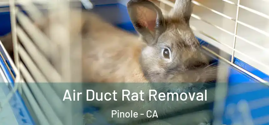  Air Duct Rat Removal Pinole - CA