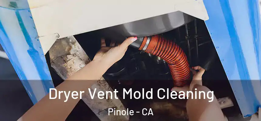  Dryer Vent Mold Cleaning Pinole - CA