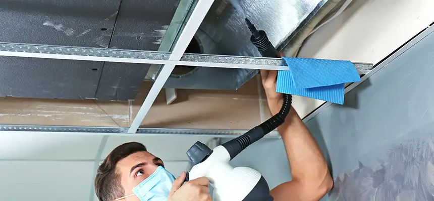 Our Air Duct Rodent Removal Services in Pinole, CA