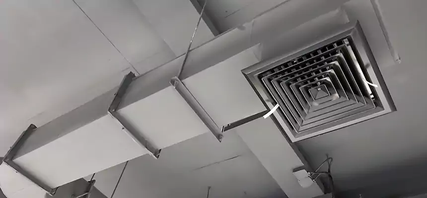 Our Pest Removal From Ducts Services in Pinole, CA