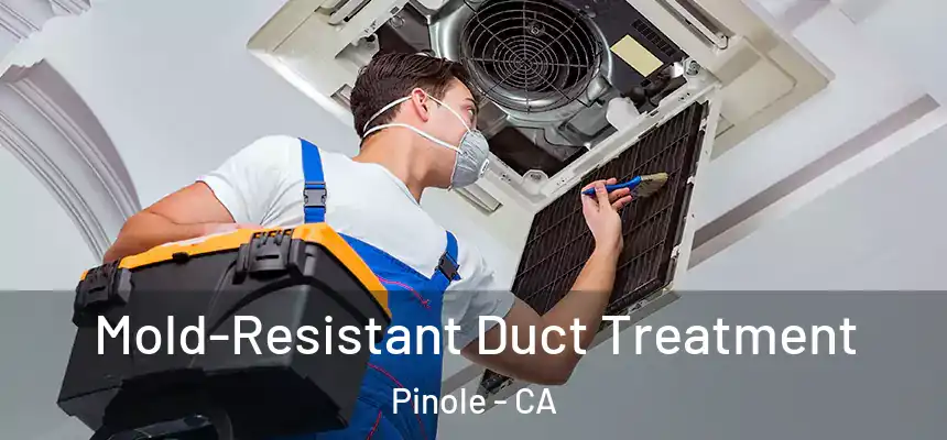 Mold-Resistant Duct Treatment Pinole - CA