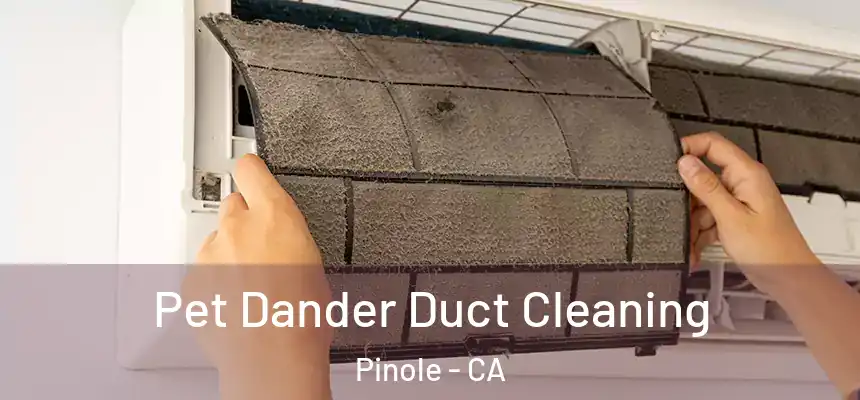 Pet Dander Duct Cleaning Pinole - CA