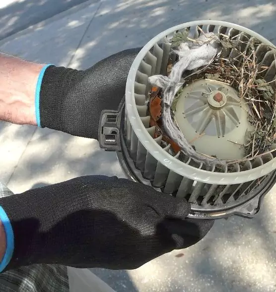 About Air Duct Rat Removal in Pinole, CA