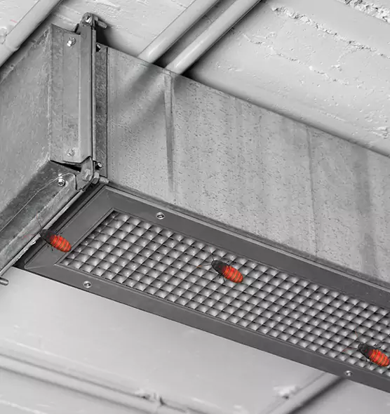 Affordable Insect Removal from Air Ducts in Pinole, CA