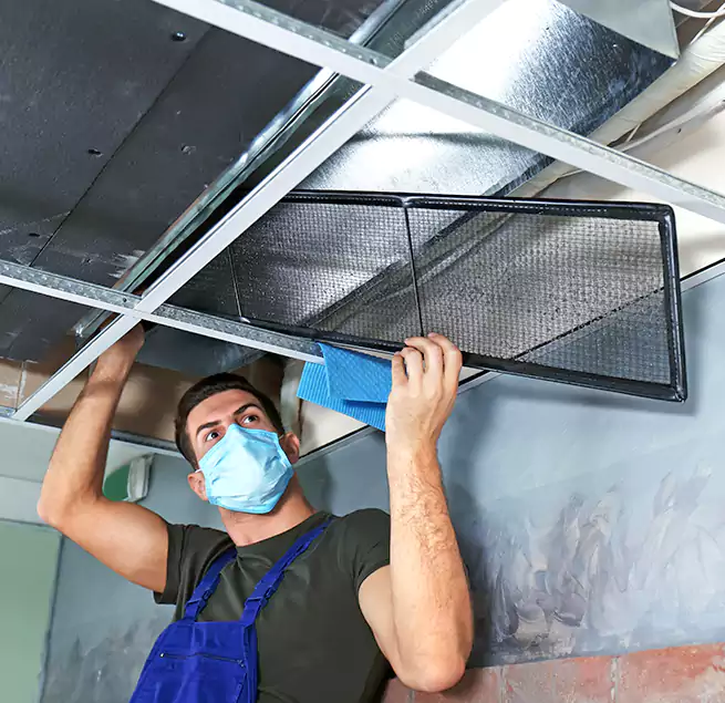 Why Homeowners Businesses Trust Us in Pinole, CA