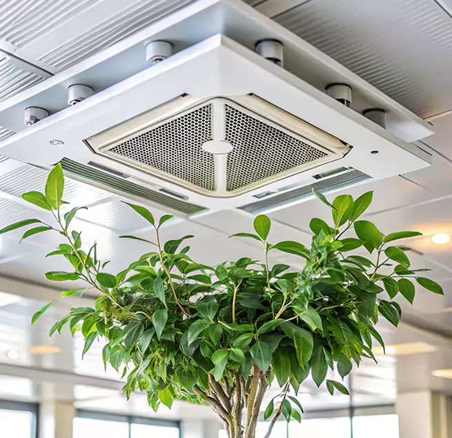 Why Homeowners & Businesses Trust Us in Pinole, CA